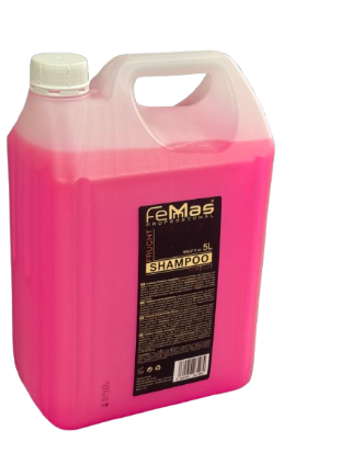 Femas Professional Frucht Shampoo 5 liter